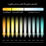 فیلامنتی نمانور